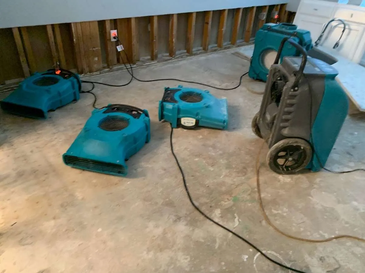 Drying & Dehumidification in Rittman, OH